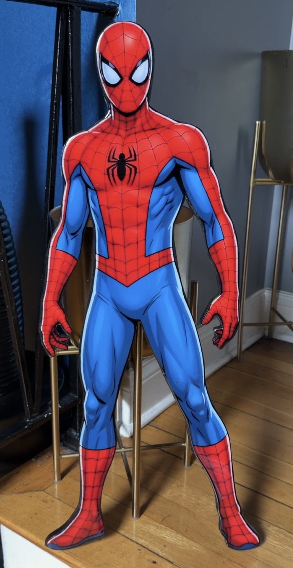 PROJECT: S P I D E R