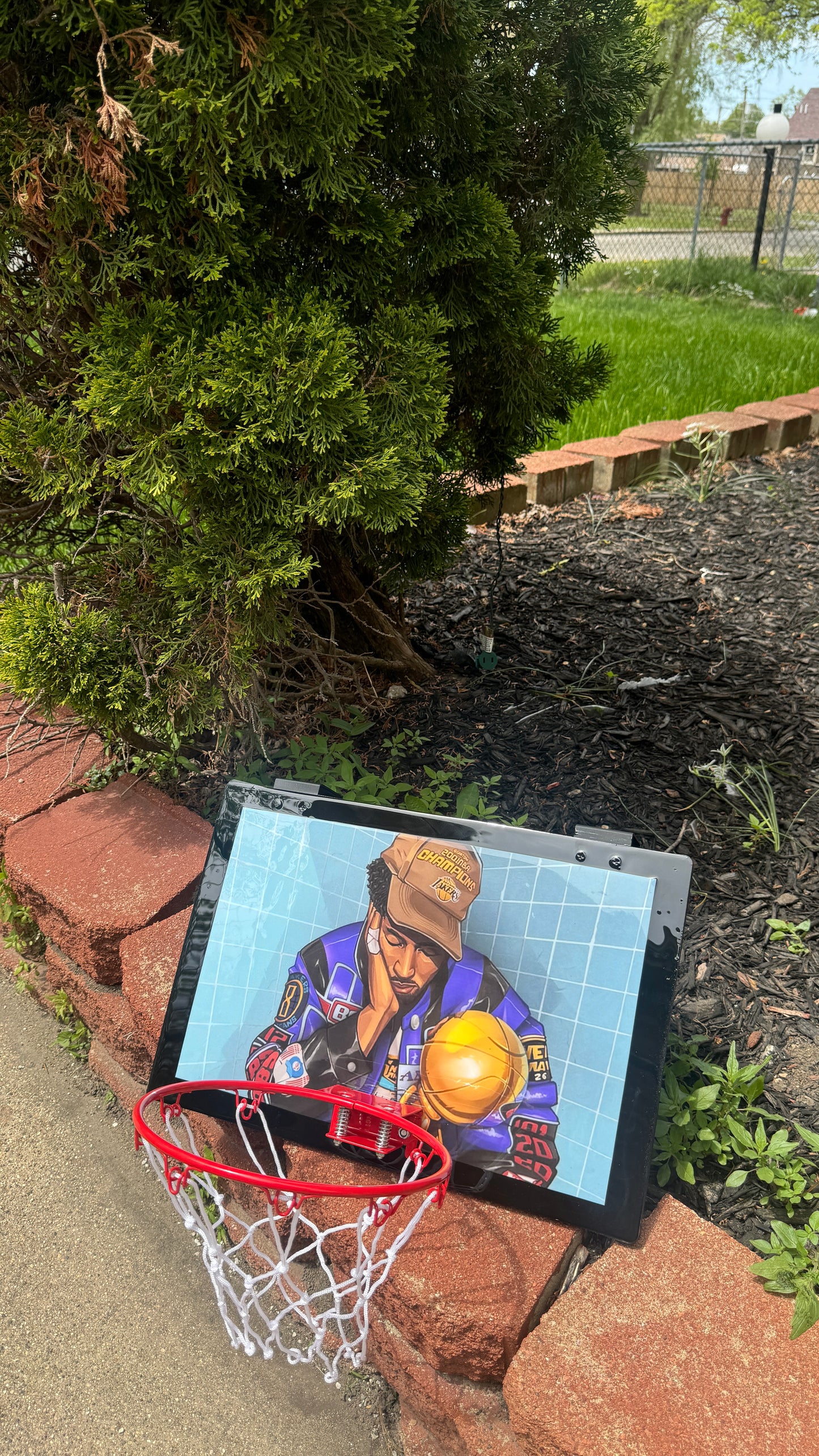 Kobe Bryant Basketball Hoop