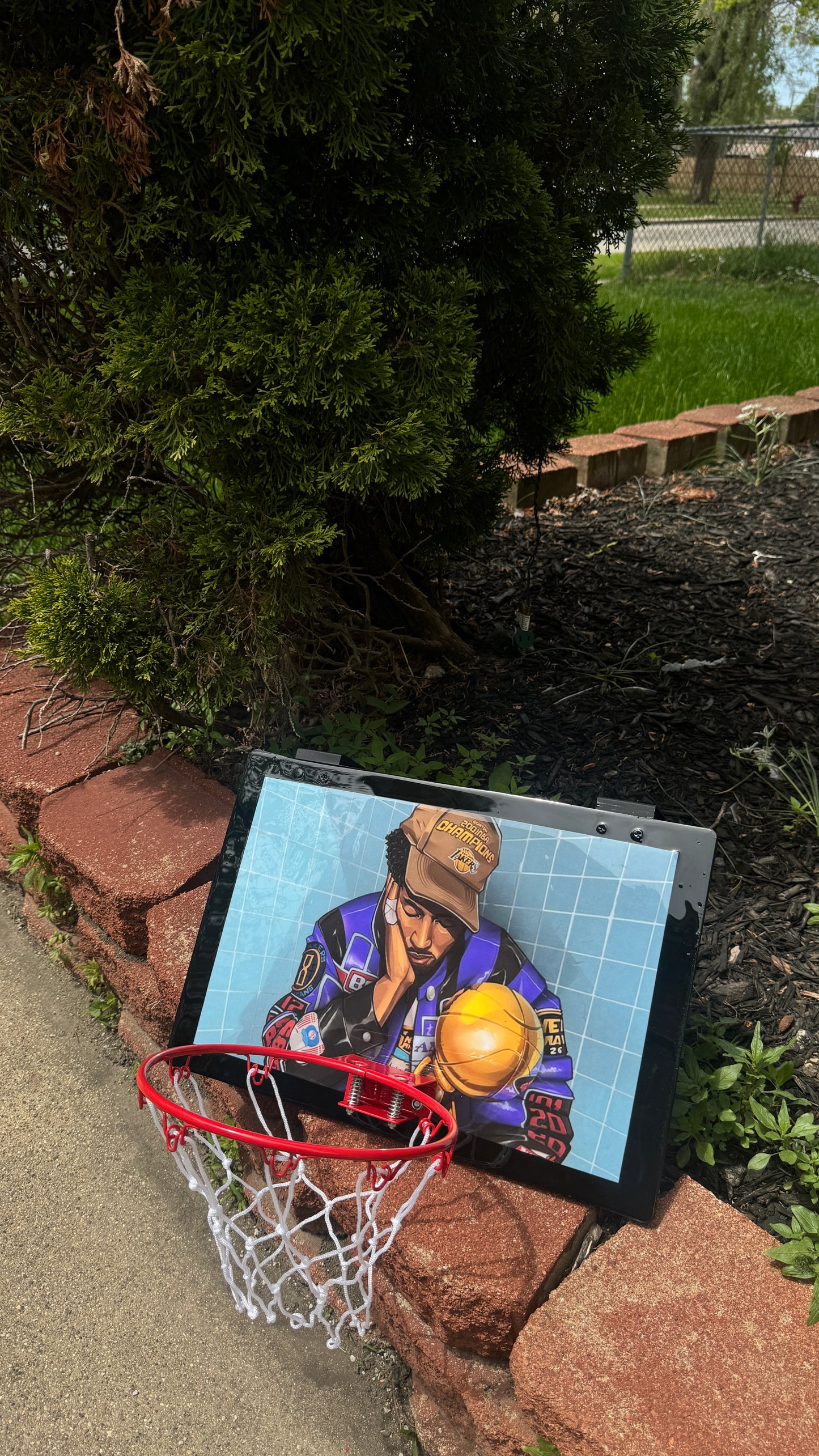 Kobe Bryant Basketball Hoop