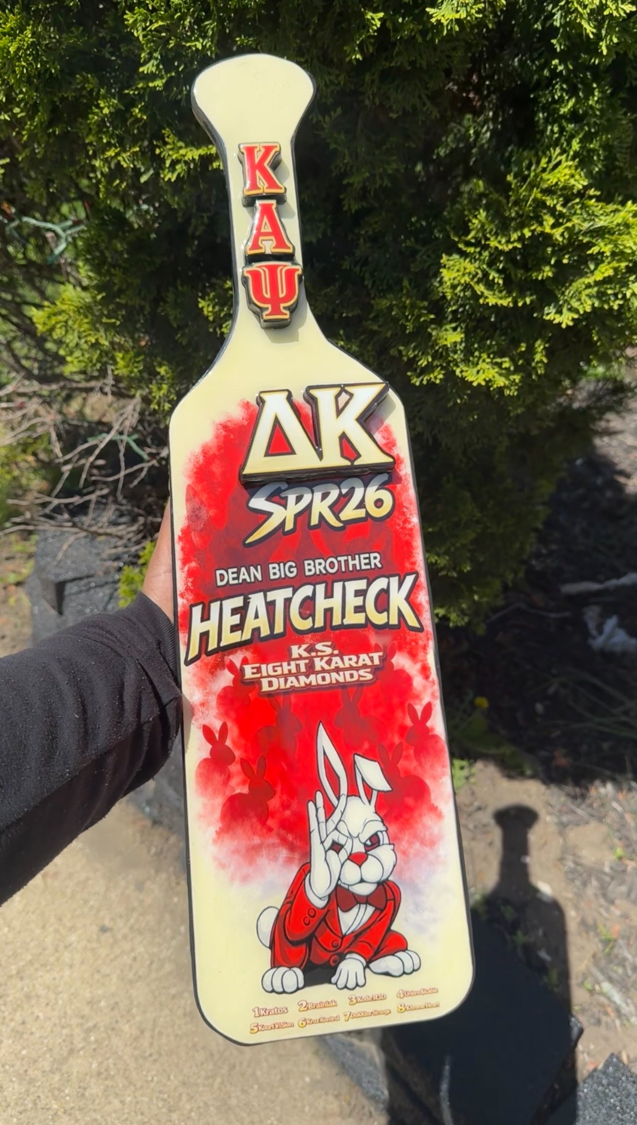 Custom Greek Paddle