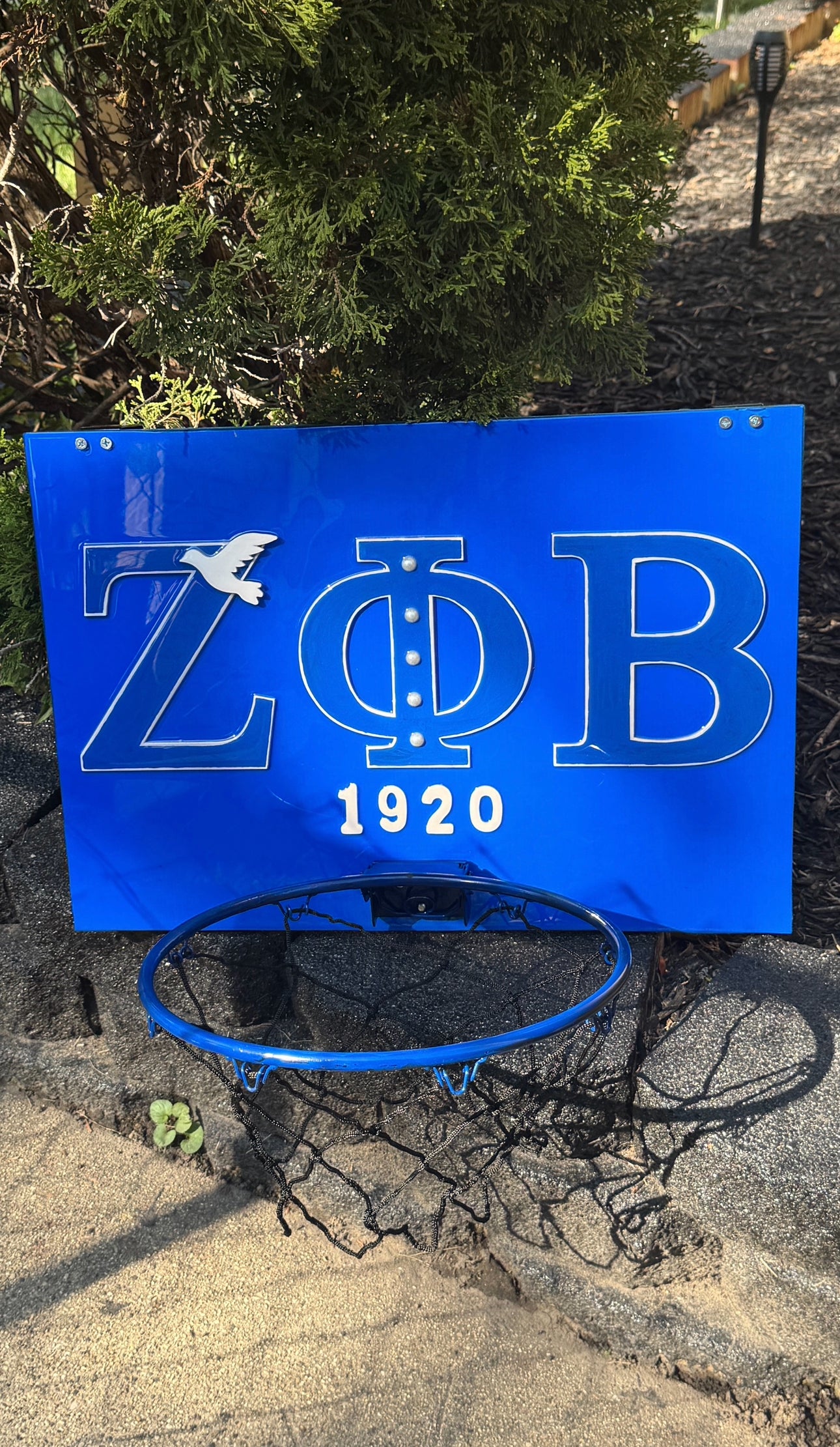 ΖΦΒ Basketball Hoop